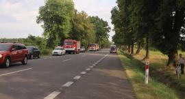 zdjęcie nr 19