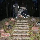 zdjęcie nr 124