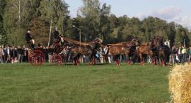 zdjęcie nr 98