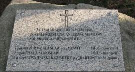 zdjęcie nr 15