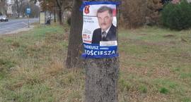 Fotka nr 5 z 9