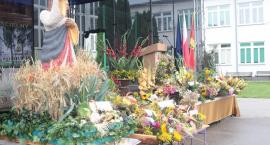 zdjęcie nr 41