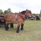 zdjęcie nr 22