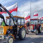 zdjęcie nr 180