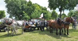 zdjęcie nr 174
