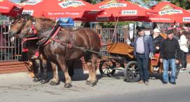 zdjęcie nr 73