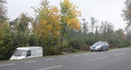 zdjęcie nr 8