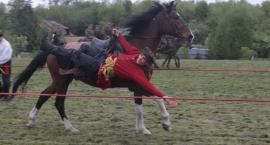 zdjęcie nr 114