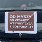 zdjęcie nr 10