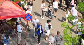 zdjęcie nr 73