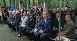 zdjęcie nr 23