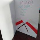 zdjęcie nr 15
