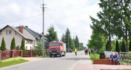 Fotka nr 4 z 14