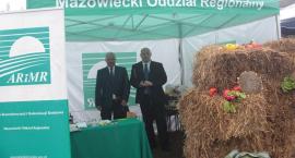 zdjęcie nr 115
