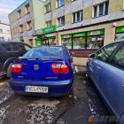 zdjęcie nr 13