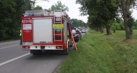 zdjęcie nr 8
