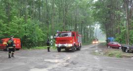 zdjęcie nr 48