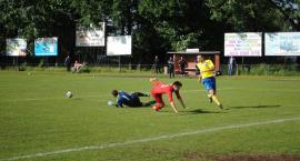 zdjęcie nr 12