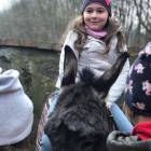 zdjęcie nr 33