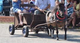 zdjęcie nr 68