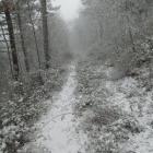 zdjęcie nr 49