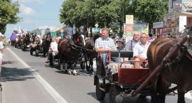 zdjęcie nr 22