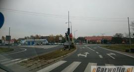 zdjęcie nr 13