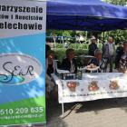 zdjęcie nr 36