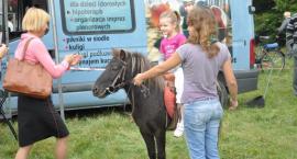 zdjęcie nr 53