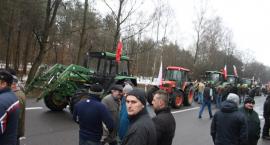 zdjęcie nr 20