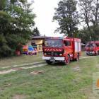zdjęcie nr 8