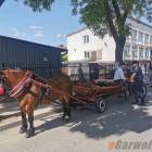 zdjęcie nr 49