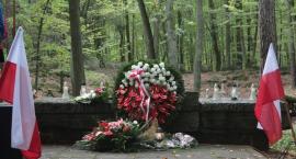 zdjęcie nr 88