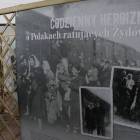 zdjęcie nr 20