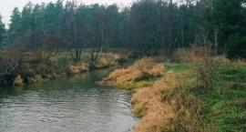Fotka nr 4 z 13