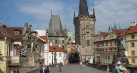 zdjęcie nr 15
