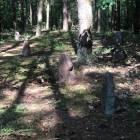 zdjęcie nr 30