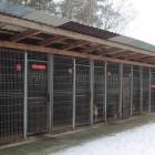 zdjęcie nr 51