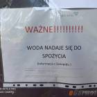 Fotka nr 1 z 4