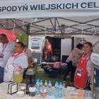 zdjęcie nr 70
