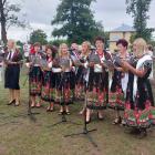 zdjęcie nr 