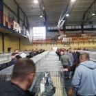 zdjęcie nr 17