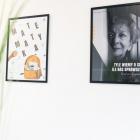 Fot: Materiały prasowe