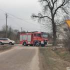 Fotka nr 2 z 63