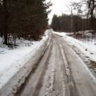 zdjęcie nr 7