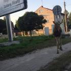 zdjęcie nr 7