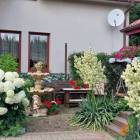 zdjęcie nr 13