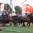 zdjęcie nr 119
