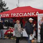 zdjęcie nr 488