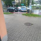 Fotka nr 2 z 3